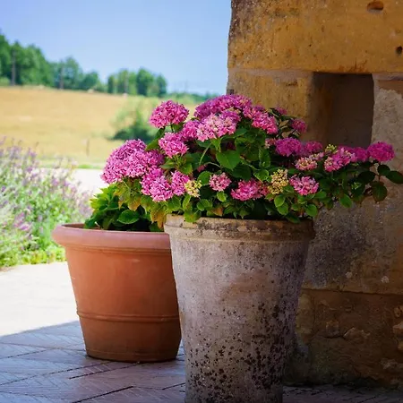 Holiday home Le Nid De Faucons Lalinde
