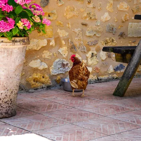Le Nid De Faucons Holiday home